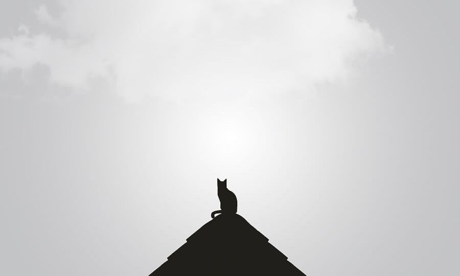 minimal-blogger-11